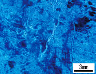蛍光法によって可視化された石油貯留岩中の間隙とクラック